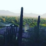 Another great view from this AM's ride #intrainingmode #100Pedals #EmpowermentRide #cycling #addiction #recovery #healthandwellness