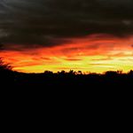 Good morning! Wishing everyone a blessed day! #100Pedals #sunrise